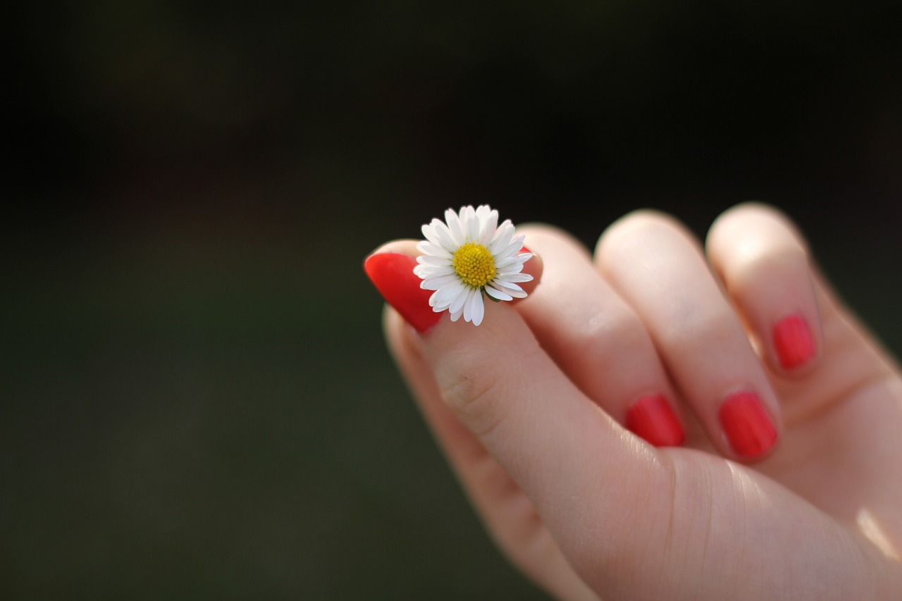 Elegance semi-permantent